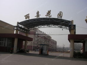 顺鑫花语中的中兴之音