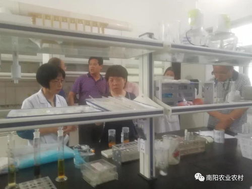 内乡农产品检测机构顺利通过复审 中兴顺鑫实力彰显